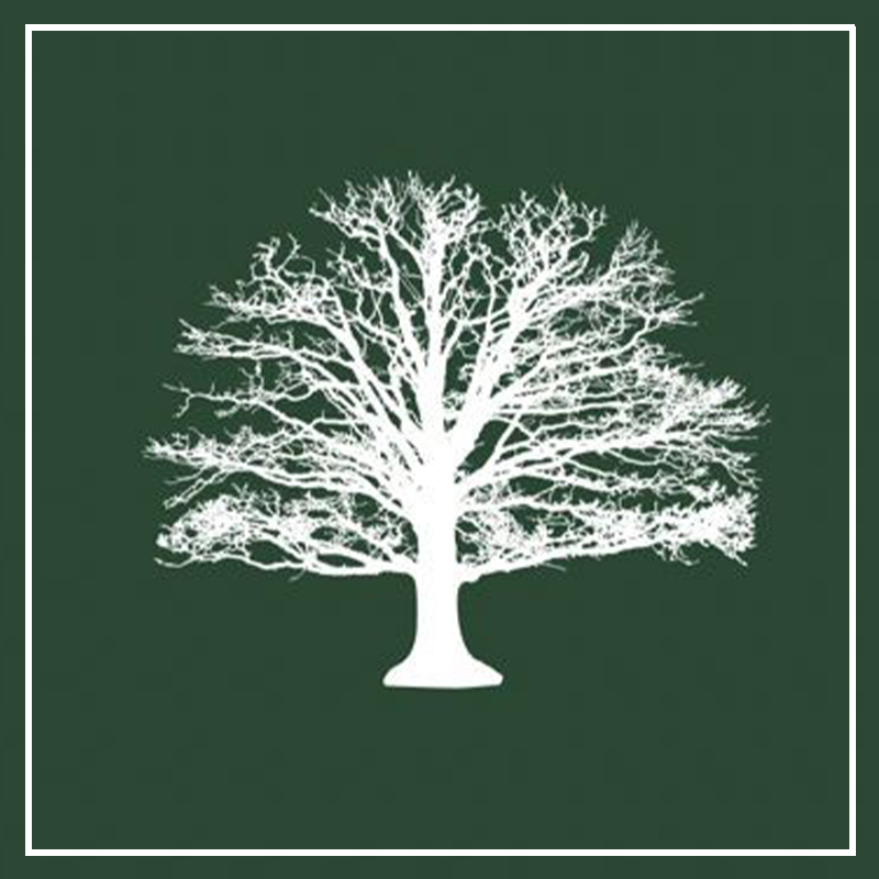 Genealogie