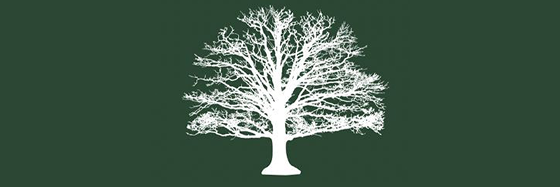 Genealogie